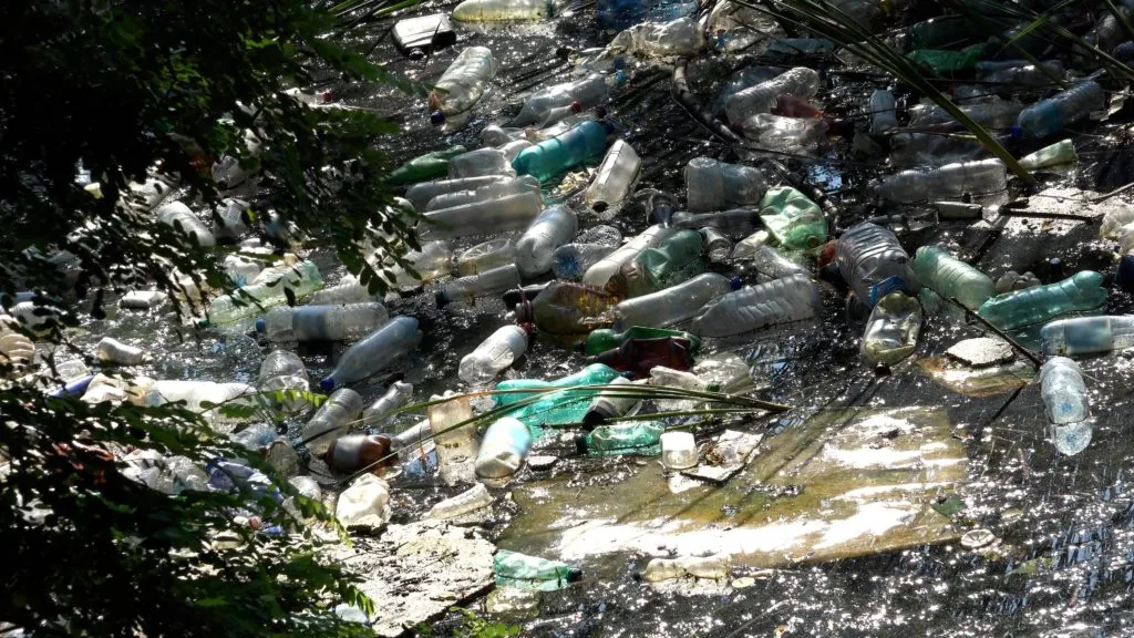 A polluted Charlotte creek in need of creek cleanup services